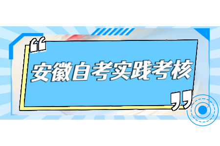 安徽自考實踐考核是什么